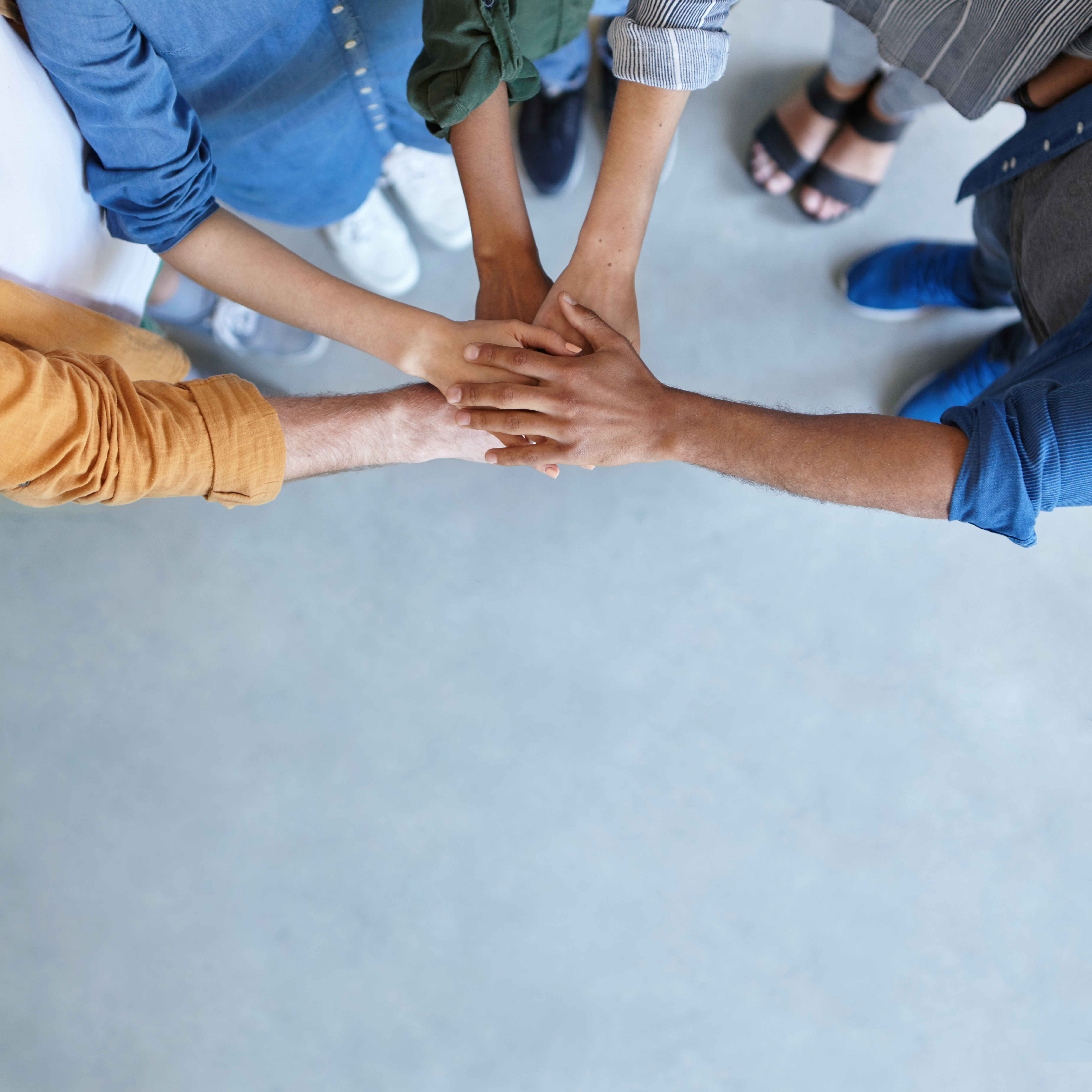 Team at Auxinotes